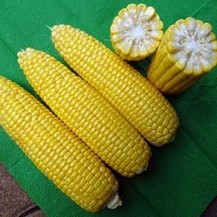 Семена кукурузы Турбин F1, 250 шт