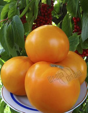 Насіння томату (помідора) Оранж Флейвор F1
