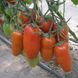 Семена томата (помидора) Айдар F1
