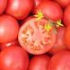 Насіння томату (помідора) Тропікал Джем F1