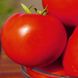 Насіння томату (помідора) Каста (Супернова) F1, 10 шт