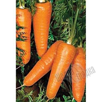 Насіння моркви Редко F1, 400 шт.