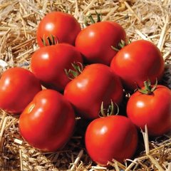 Семена томата (помидора) Мамако F1, 10 шт
