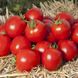 Семена томата (помидора) Асвон F1