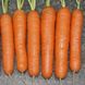 Семена моркови Нантес Скарлет F1, 500 г