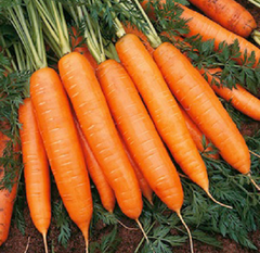 Семена моркови Балтимор F1, 400 шт.