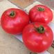 Насіння томату (помідора) Афен F1