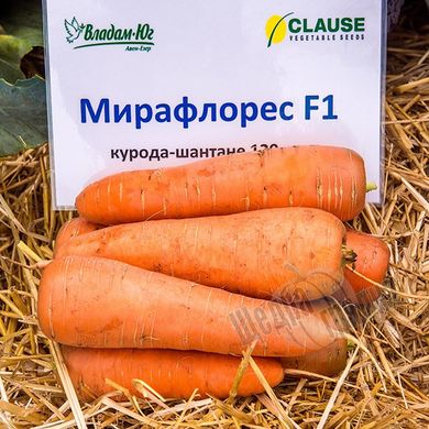 Семена моркови Мирафлорес F1, 100 000 шт. (1.4-1.6)