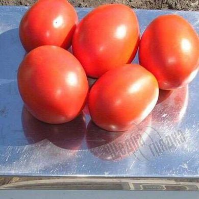 Насіння томату (помідора) Форсаж (Фріско) F1