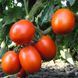 Семена томата (помидора) Форсаж (Фриско) F1