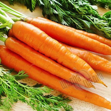 Насіння моркви Скарла, 500 г