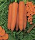 Насіння моркви Скарла, 500 г