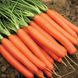Насіння моркви Нантес Тіп-Топ, 500 г