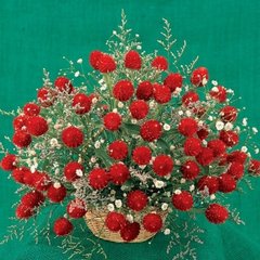 Насіння квітів гомфрени Полуничне поле, 0,1 г, червоний