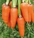 Насіння моркви Абако F1, 10 г