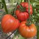 Насіння томату (помідора) Массон F1, 250 шт