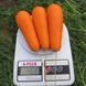 Насіння моркви Болівар F1, 0,5 г
