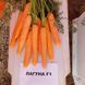 Насіння моркви Лагуна F1, 25 000 шт
