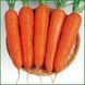 Насіння моркви Абліксо F1, 10 г
