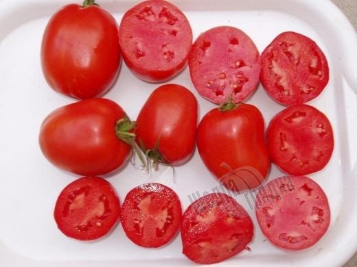 Семена томата (помидора) Дино F1