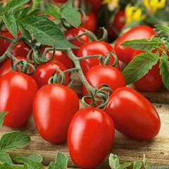 Насіння томату (помідора) Засолочне Чудо
