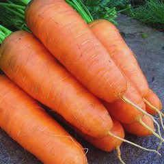 Семена моркови Курода Шантане, 10 г