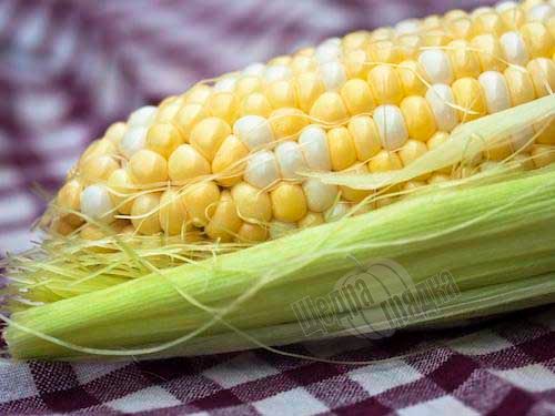 Семена кукурузы Камберленд F1, 15 шт