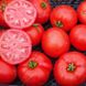Насіння томату (помідора) Ріхам F1