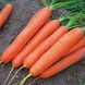 Насіння моркви Сатурно F1, 25 000 шт