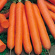 Насіння моркви Смірна, 2 г