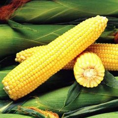 Семена кукурузы Сентинель F1, 5000 шт