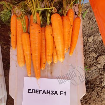 Насіння моркви Елеганс F1, 400 шт.