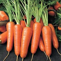 Насіння моркви Каскад F1, 0,5 г