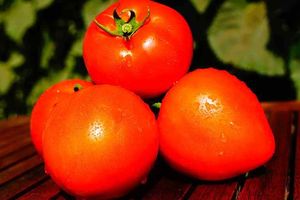 Чудові гібриди детермінантних томатів в нашому магазині (відео)