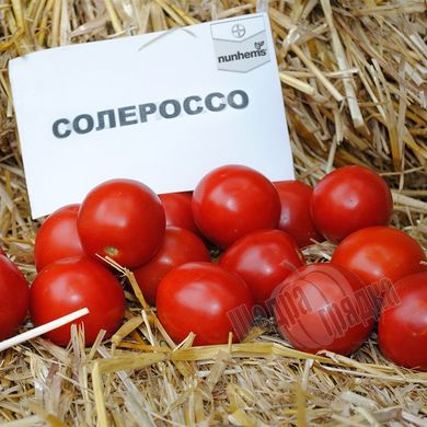 Насіння томату (помідора) Солероссо F1