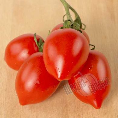 Насіння томату (помідора) Олівія F1