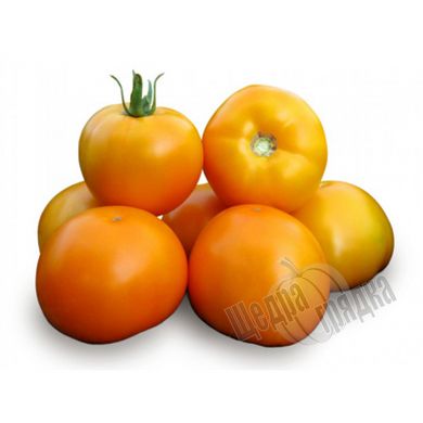 Насіння томату (помідора) Нуксі (KS 17) F1