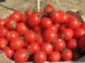 Насіння томату (помідора) Солероссо F1