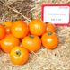 Cемена томата (помидора) Нукси (KS 17) F1