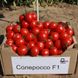 Семена томата (помидора) Солероссо F1