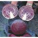 Семена краснокочанной капусты Примьеро F1, 2500 шт
