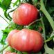 Семена томата (помидора) Розовый гигант