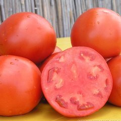 Семена томата (помидора) Скиф F1