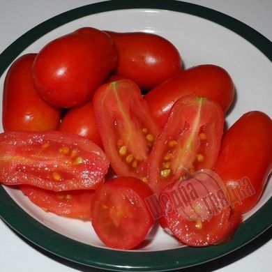 Насіння томату (помідора) Полічіно F1