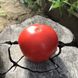 Насіння томату (помідора) Монталбан F1, 10 шт