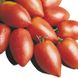 Семена томата (помидора) Поличино F1