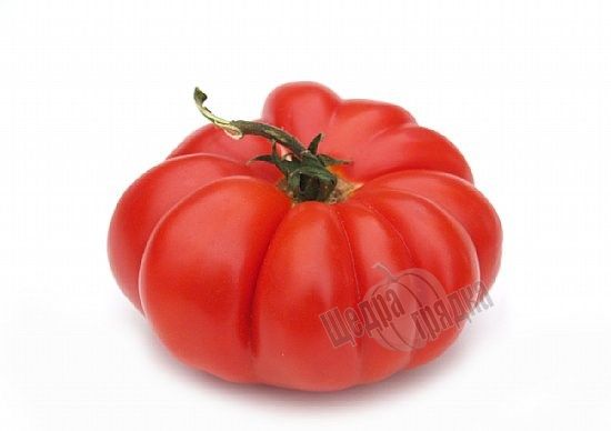 Насіння томату (помідора) Флорентіно