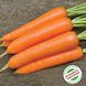 Насіння моркви Монанта