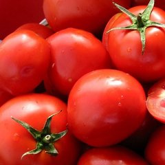Насіння томату (помідора) Президент ІІ F1