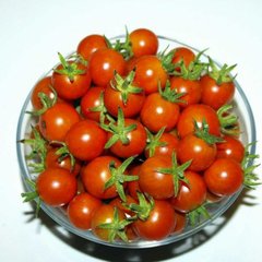 Семена томата (помидора) Мини Болл F1